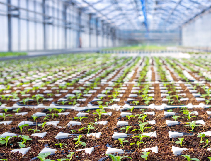 Wachstumsfelder und Innovationsideeen in der Landwirtschaft